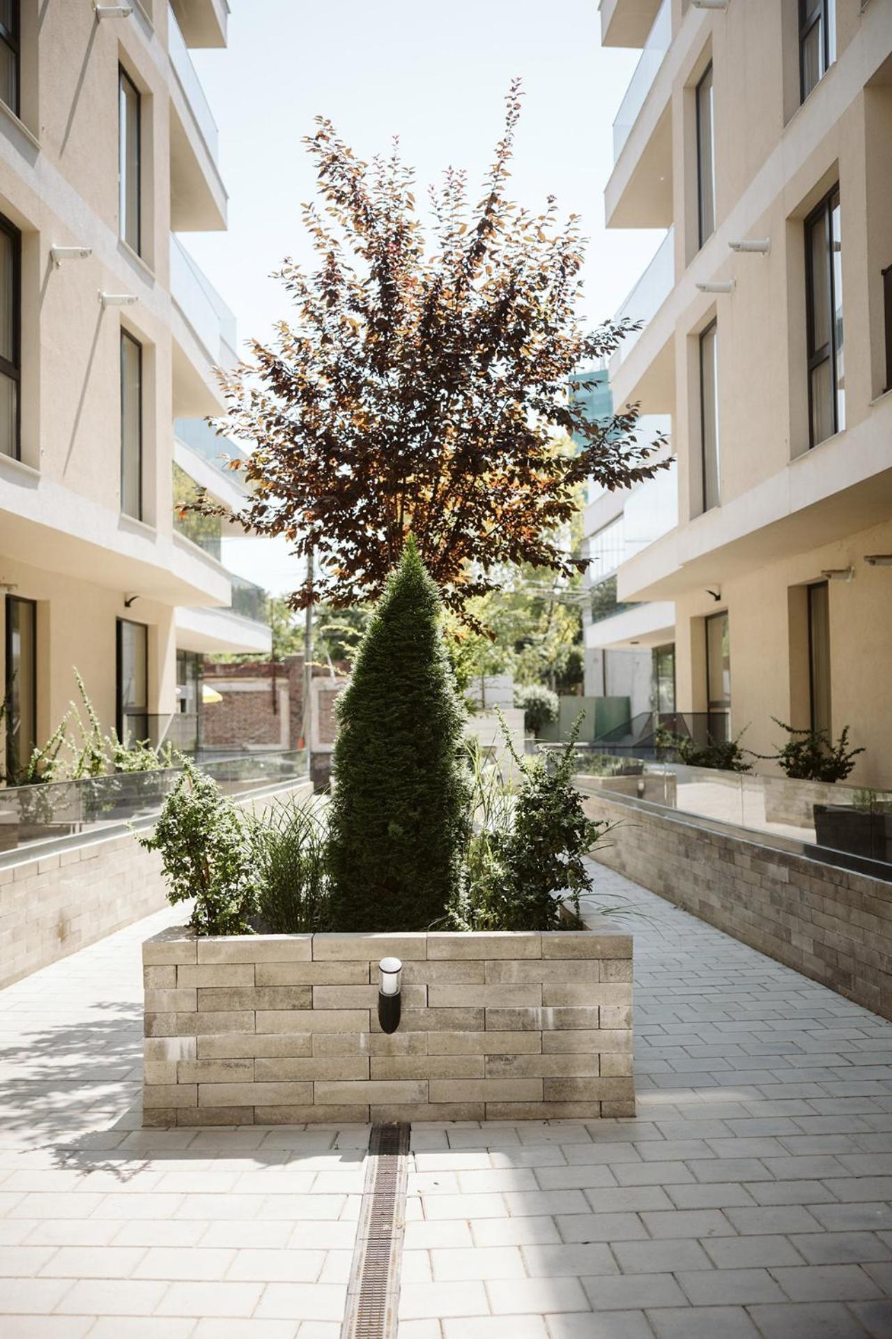 Dec Apartments Bucureşti Eksteriør bilde